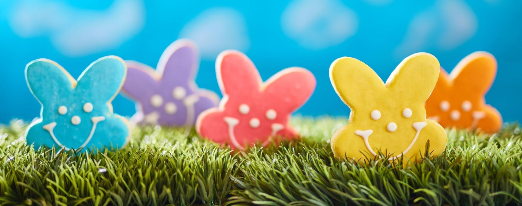Get Egg-cited! You’ve Found our Easter Collection - SmileyCookie.com