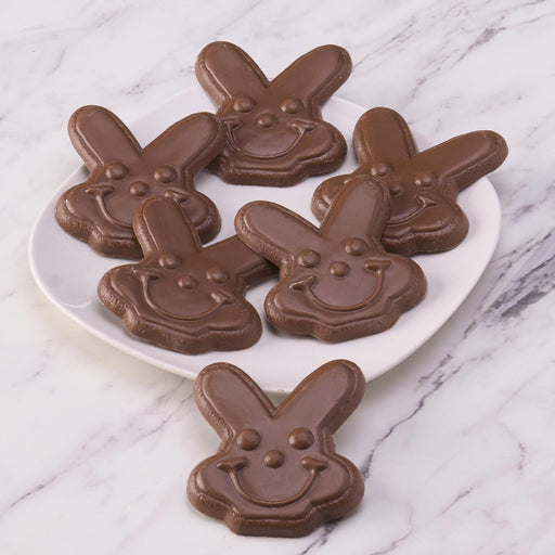 Sarris Chocolate Bunny - SmileyCookie.com individually wrapped, nut - free, and kosher cookies delivered to you!