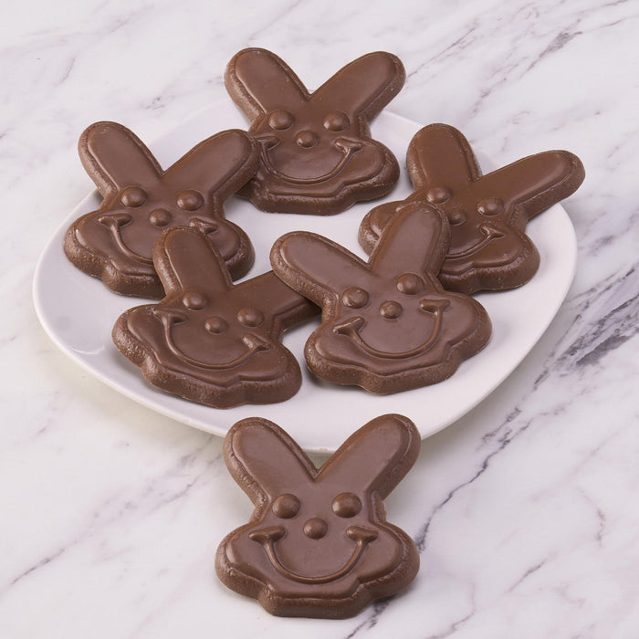 Sarris Chocolate Bunny - SmileyCookie.com individually wrapped, nut - free, and kosher cookies delivered to you!